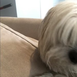 Meet your Posher, Marion